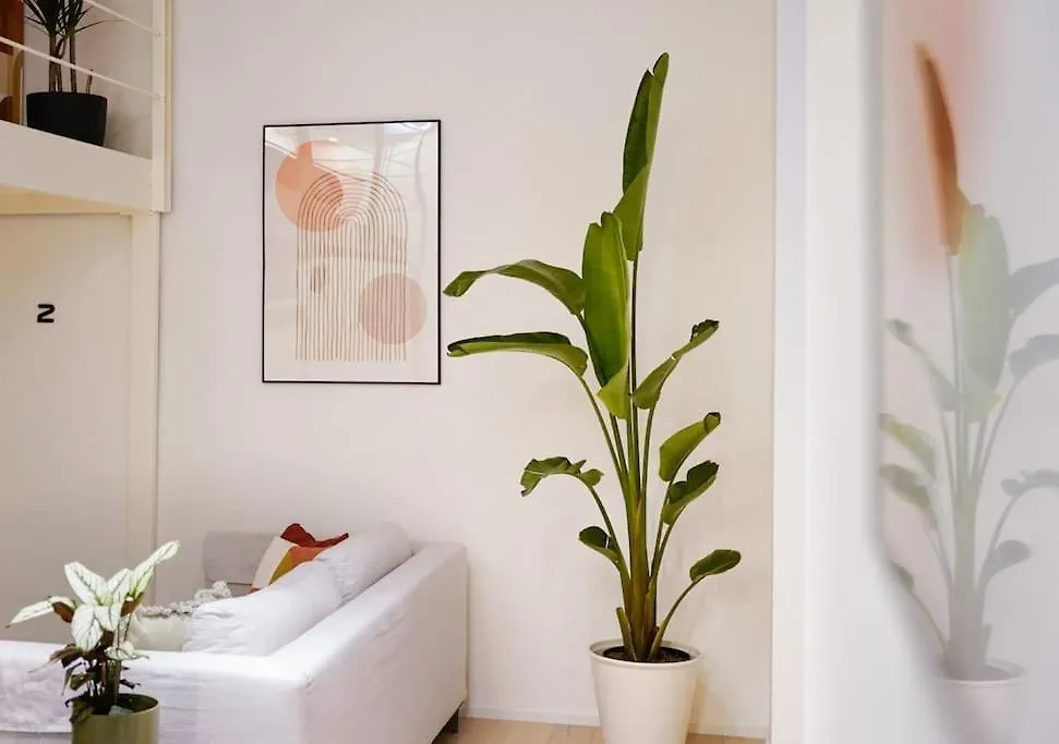 Navigli-Bocconi Spazio Luce Design Apartment Milan